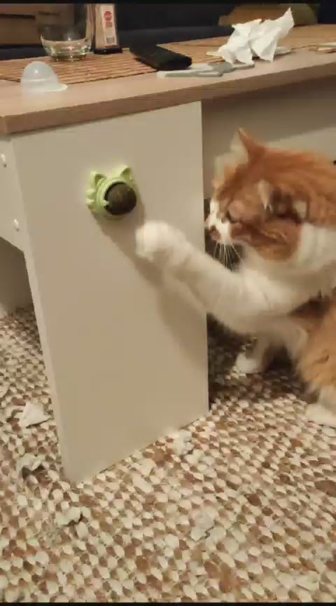 Bola de Catnip Adhesiva para Gatos