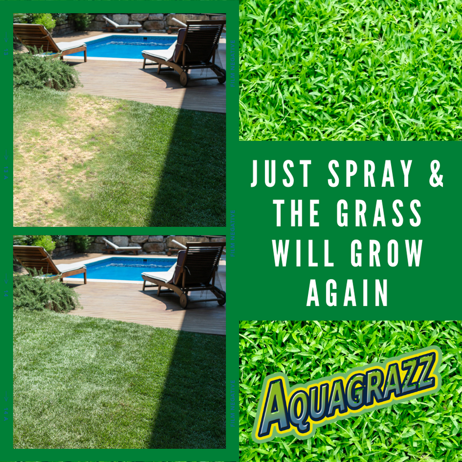Aquagrazz Refill para césped denso