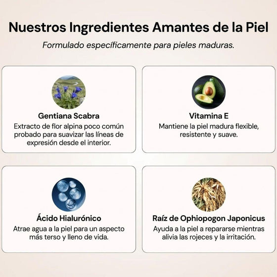 Base de maquillaje 5 en 1 adaptativa