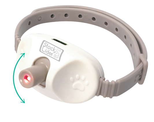 Collar láser para mascotas | Juego activo