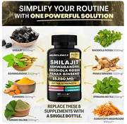 Shilajit Ashwagandha Energía Natural 60 Cápsulas