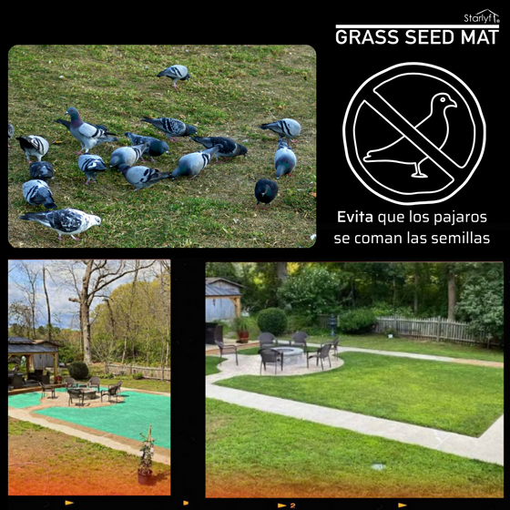 Alfombra de germinación rápida césped