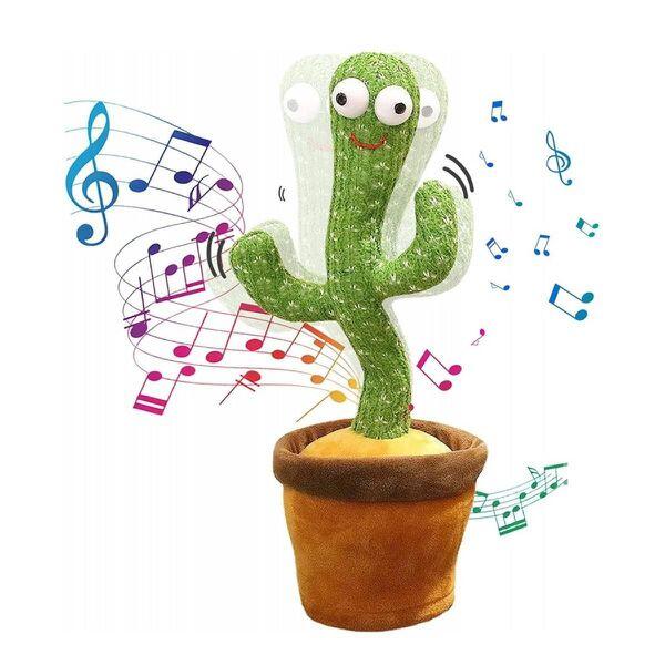 El cactus que anima la casa