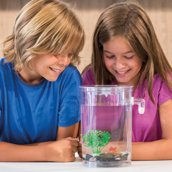Acuario con limpieza integrada y LED