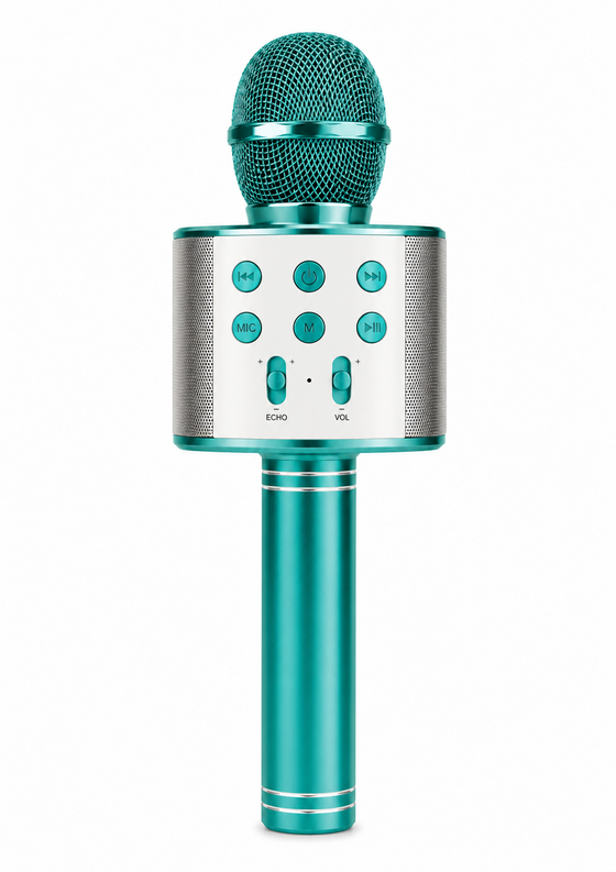 Micrófono karaoke Bluetooth portátil | ViamoMas