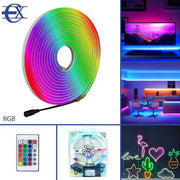 Tira Neon LED RGB 5M con Mando