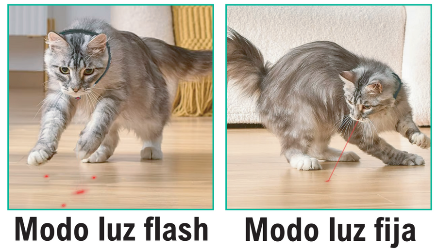 Collar láser para mascotas | Juego activo
