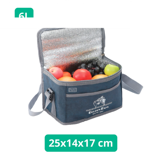 Nevera isotérmica 6L portátil | ViamoMas