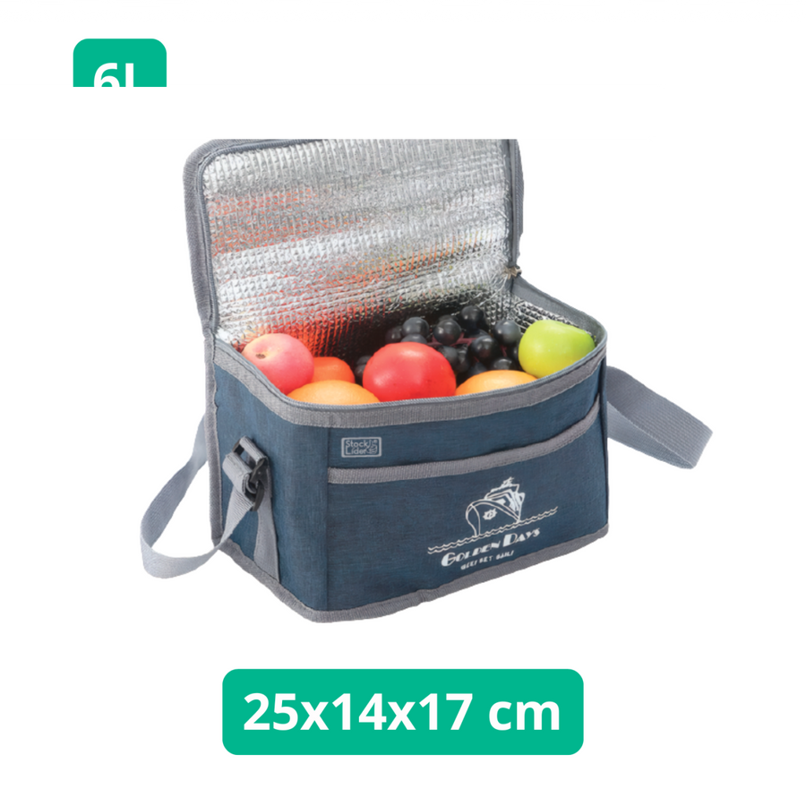Nevera isotérmica 6L portátil | ViamoMas