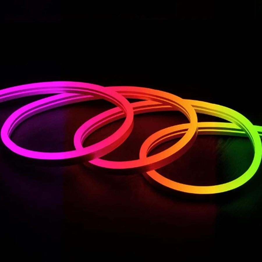 Tira Neon LED RGB 5M con Mando