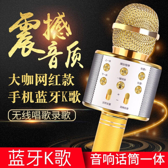 Micrófono WS-858 karaoke portátil
