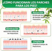 Parches Kinoki Detox para Pies | ViamoMas