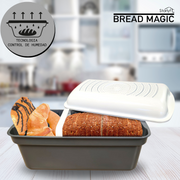 Contenedor hermético para pan fresco