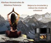 Shilajit Resina natural 30 g | ViamoMas
