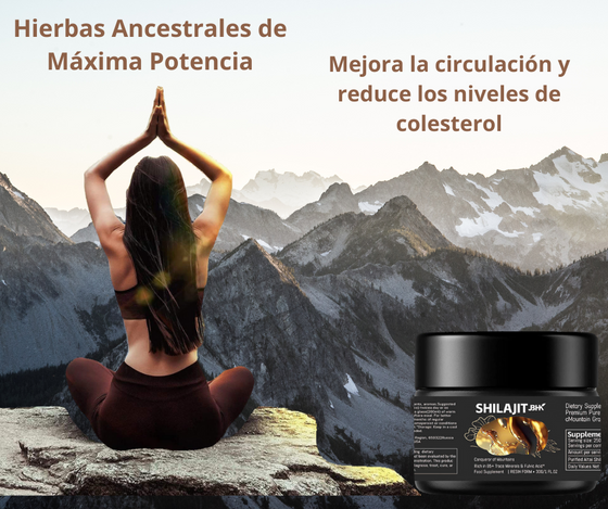 Shilajit Resina natural 30 g | ViamoMas