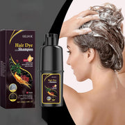 Champú Tinte Negro 3 en 1 EELHOE