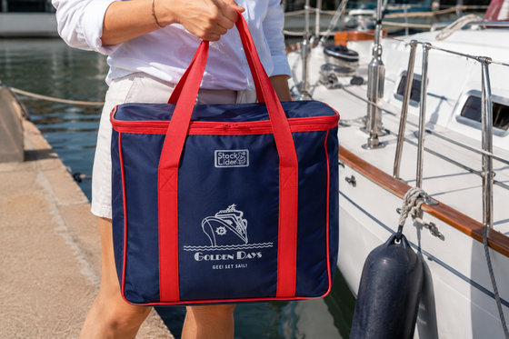 Nevera isotérmica 20L portátil | ViamoMas