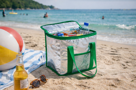Nevera isotérmica 16L portátil | ViamoMas