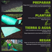 Alfombra de germinación rápida césped