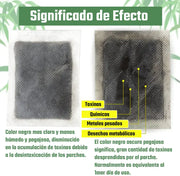 Parches Kinoki Detox para Pies | ViamoMas